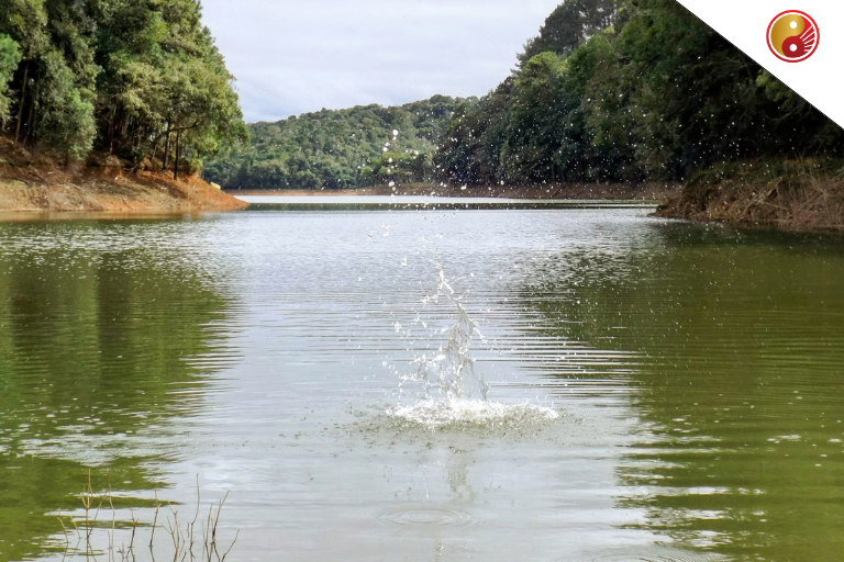 ฝันว่าลูกตกน้ำกระโดดลงไปช่วยความหมายทางจิตวิทยา