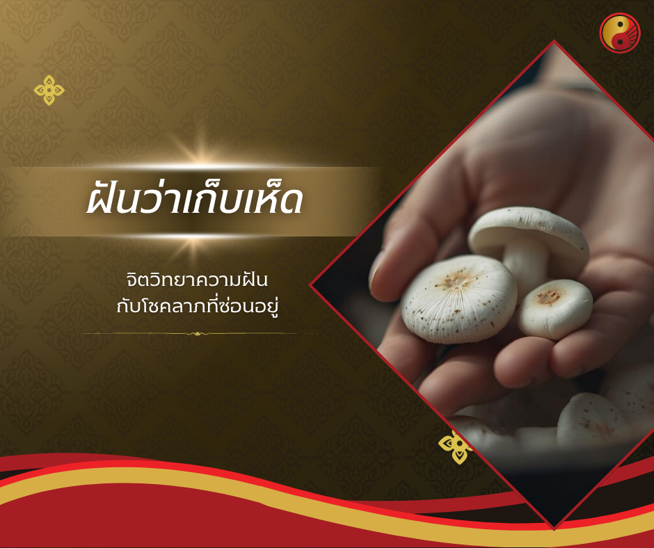 ฝันว่าเก็บเห็ด