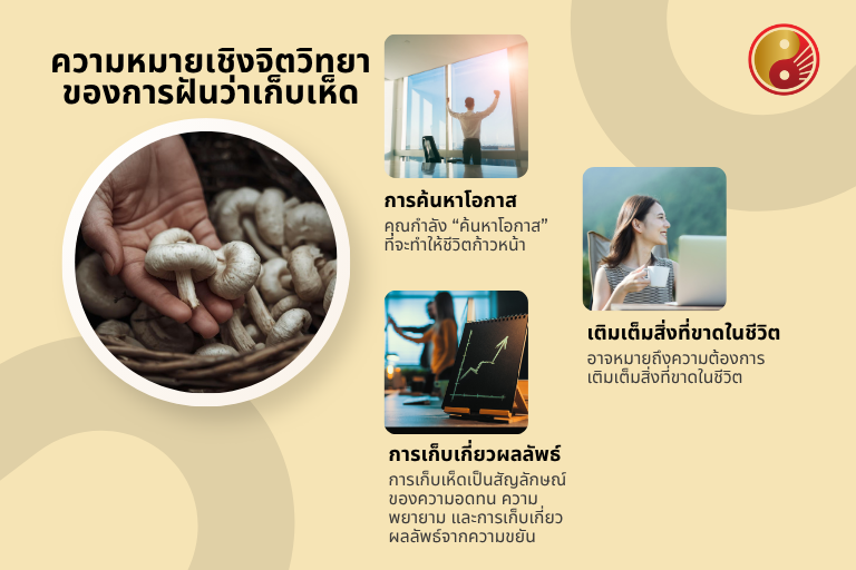 ความหมายเชิงจิตวิทยาของการฝันว่าเก็บเห็ด